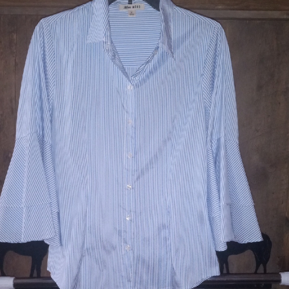 Crisp Blue Button Down Shirt for Business
